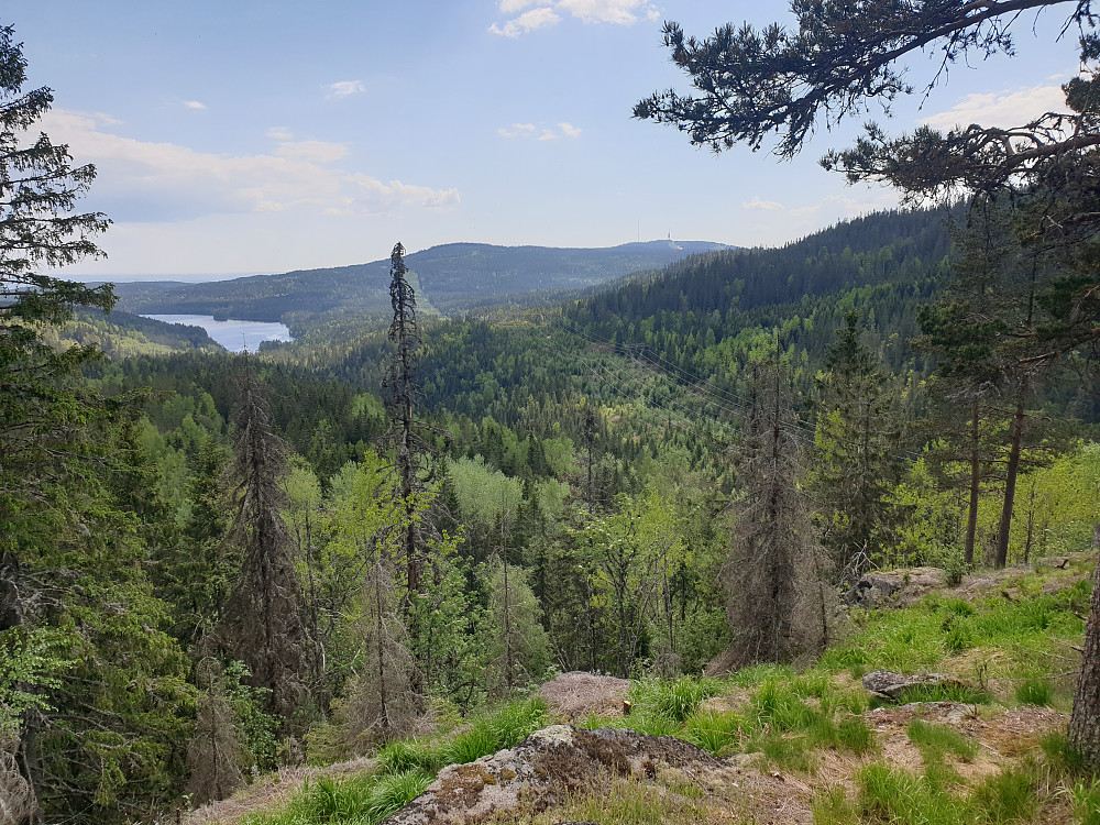 Utsikt fra Storhaugen mot Skjersjøen
