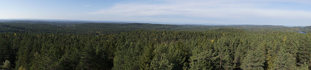 Utsikt fra branntårnet mot nordvest