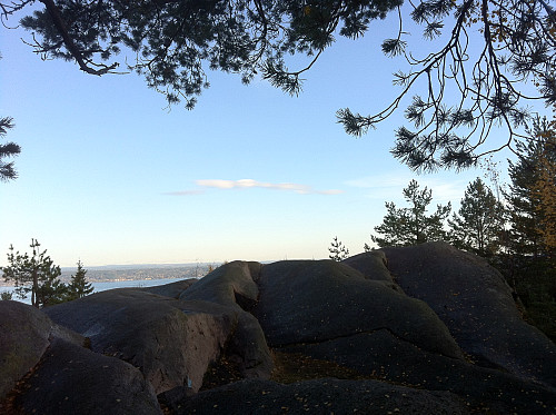 Toppunktet på Vardåsen, med Oslofjorden i bakgrunnen