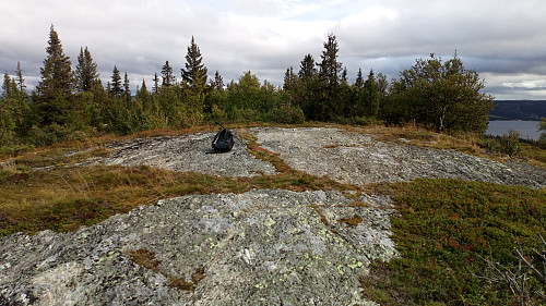 Kvitberget
