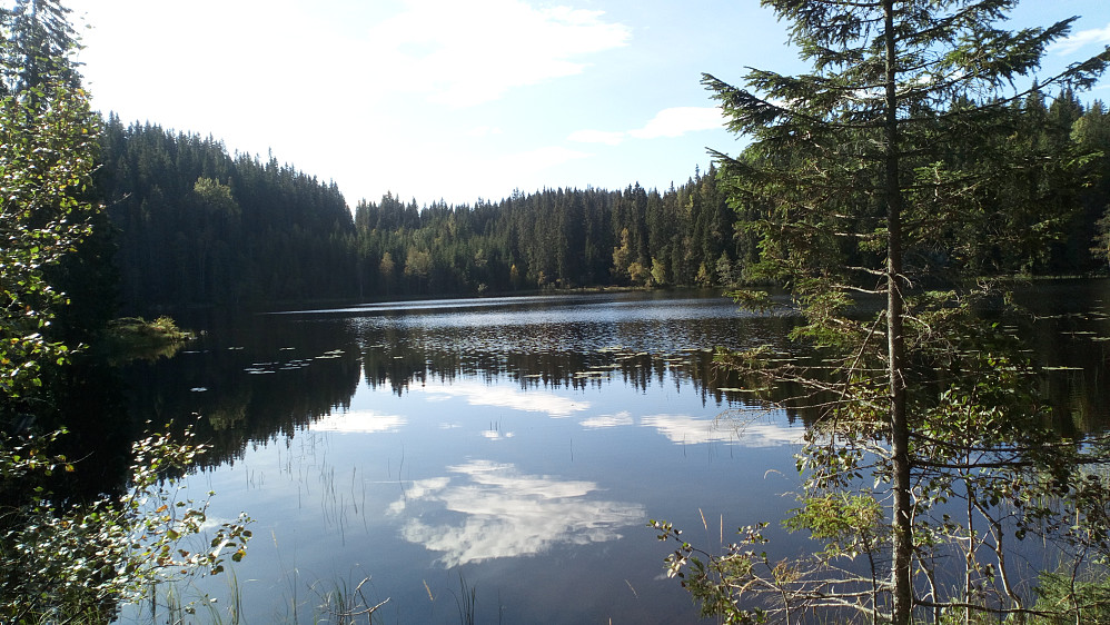 Rynestjennet.