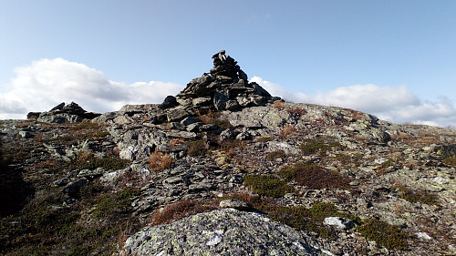 Topp varden