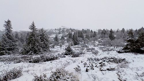 Fjellenden i gråvær