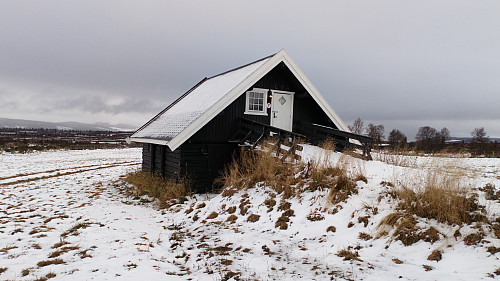 Tyrisholt