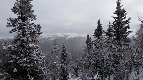 Makalausfjellet fra vest toppen.