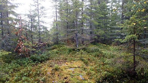 Møkkelåsen