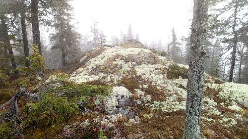 Tjuvhanskollen