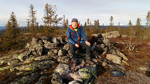 Høgberget. Snøfjellene i nord er sikkert Synnfjellet.