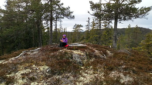 Midtknatten