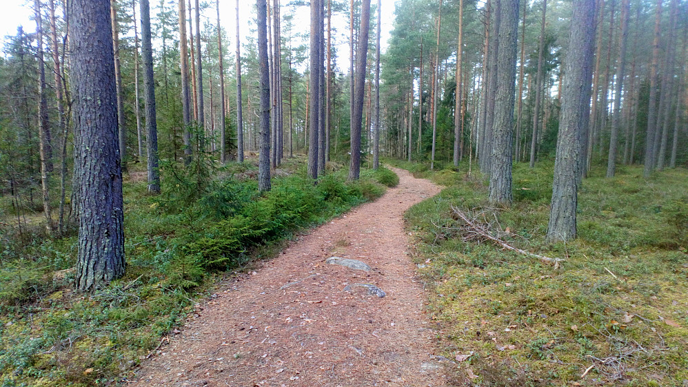 Det er ikke noe rart at dette er blitt kåret til verdens fineste tur sti.