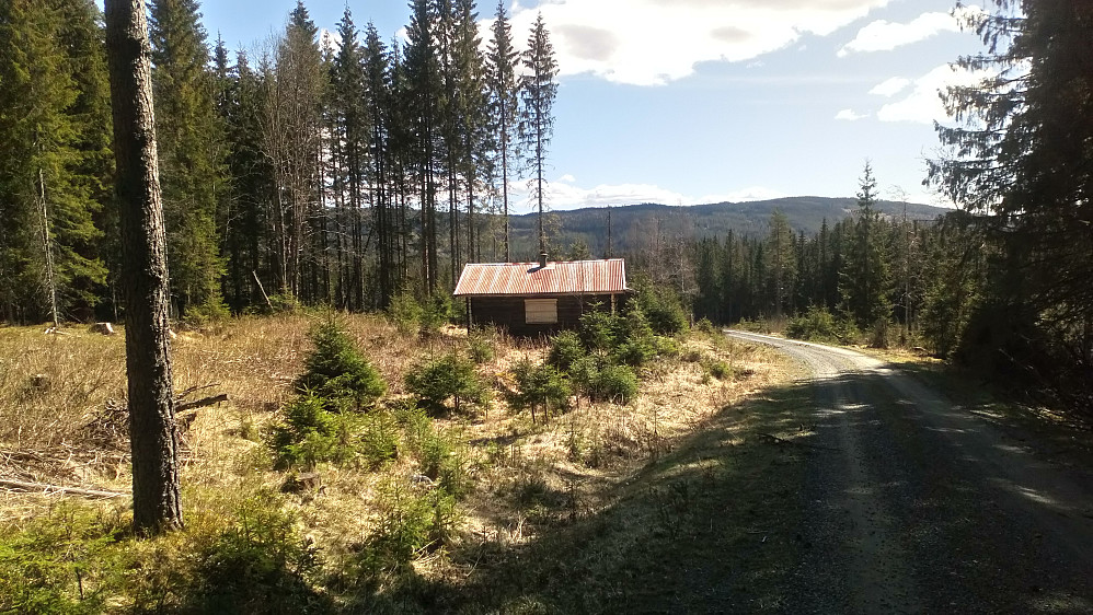Krafshølkoia