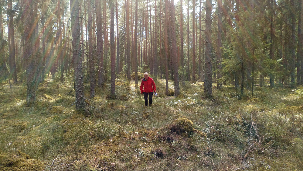 En noe slukøtet O løper på veg tilbake.