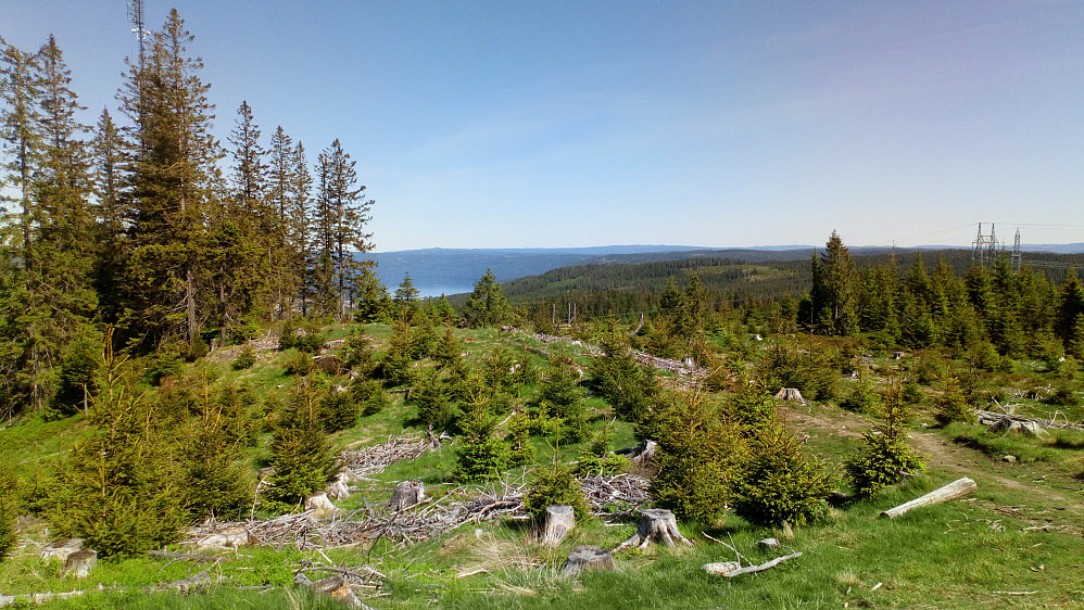 Tyrifjorden fra Glasåsen N.