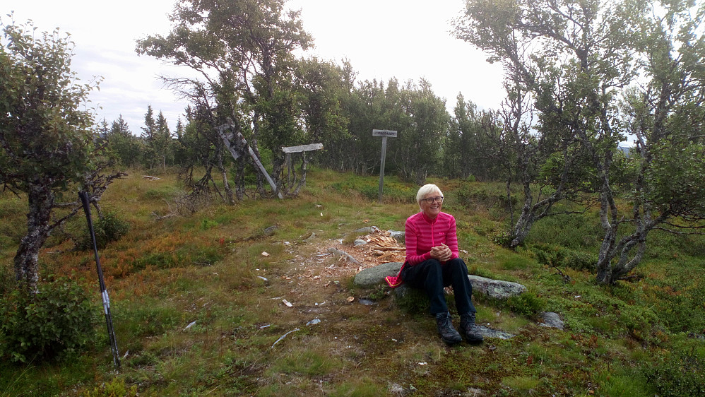 Digeråsen