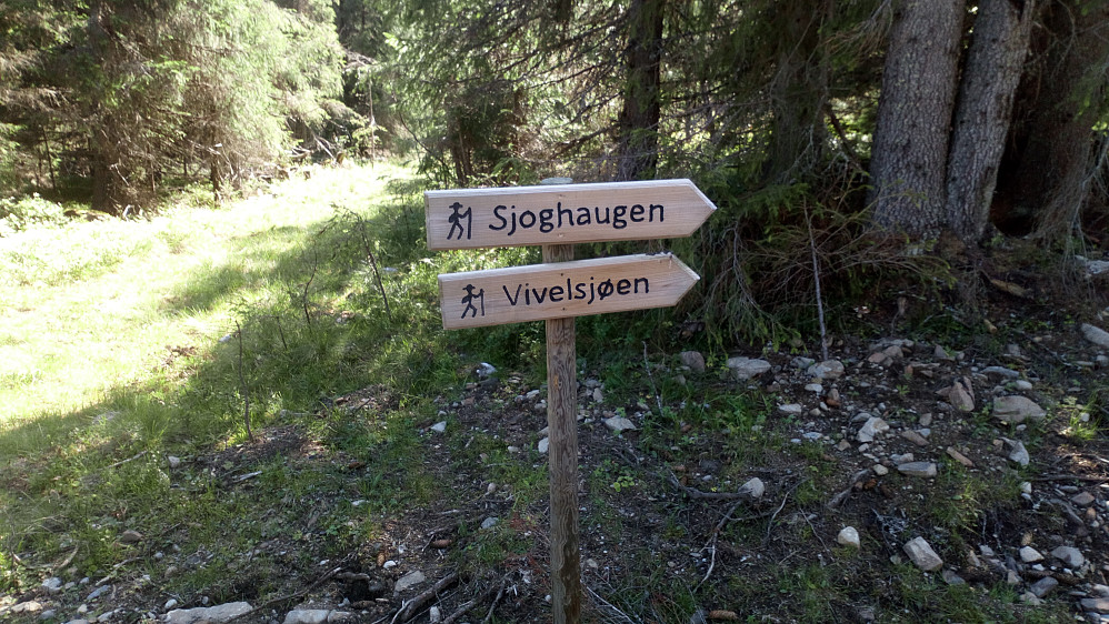Det går sti inn i skogen 100 m. etter dette skiltet
