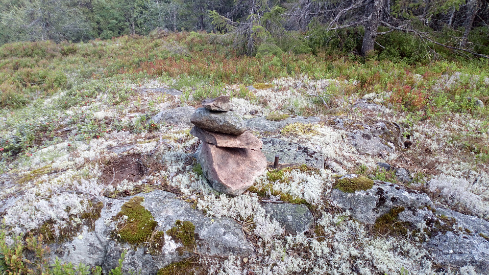 Bygde varde ved siden av bolten