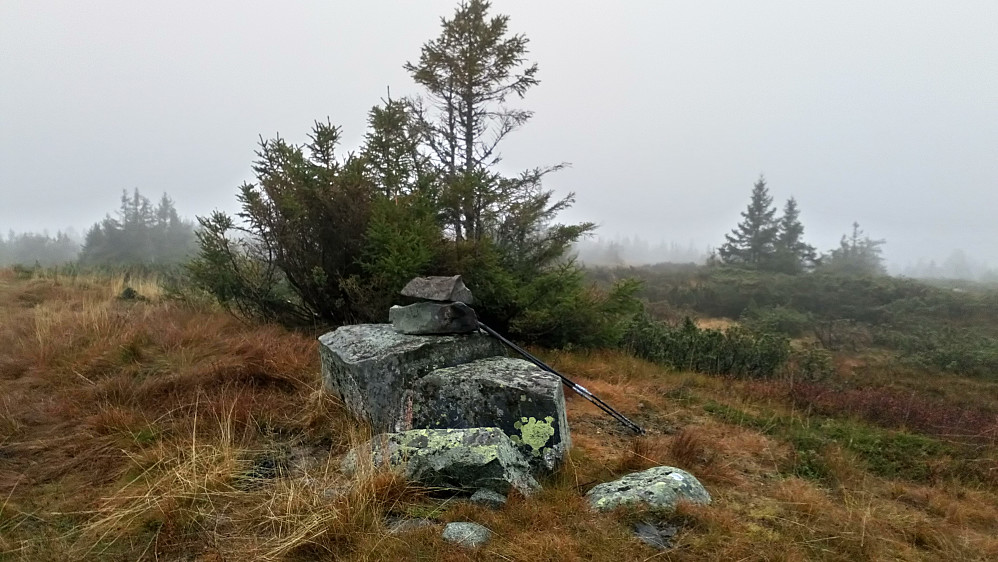 Utsikten fra Løvisåsen var ikkje god den heller.