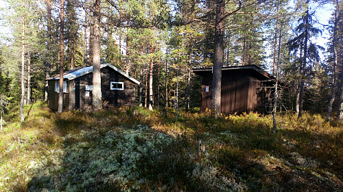 Juskjølkoia