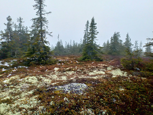 Søre Bleikjefjellet