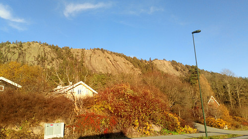 Vi gikk opp i den breieste grønne feltet.