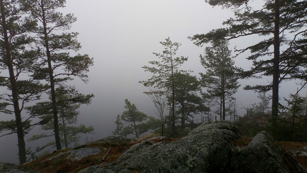 Utsikten