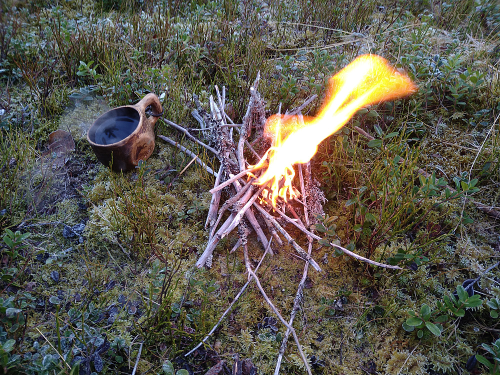 Vi er nybynere, så vi har bare et lite bål.