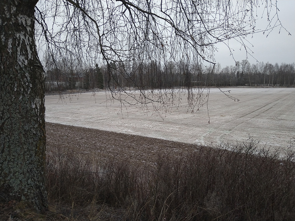 Gråkaldt mens vi venter på snøen