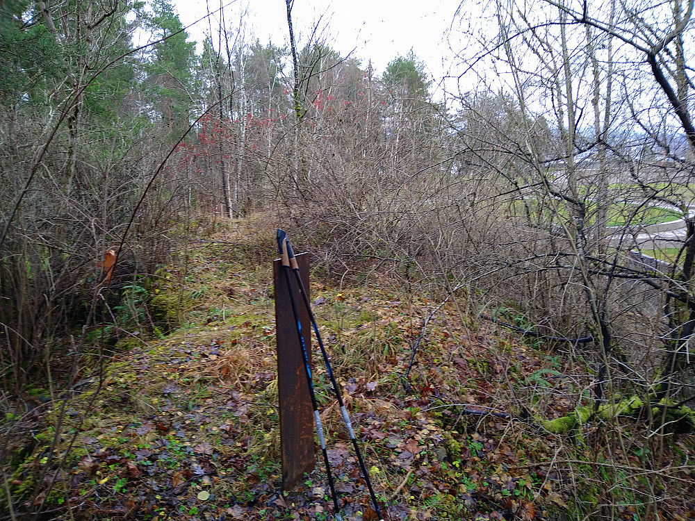 Lilleøytoppen