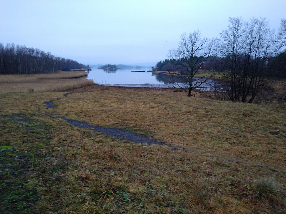 Litt villmark på Fornebu også.