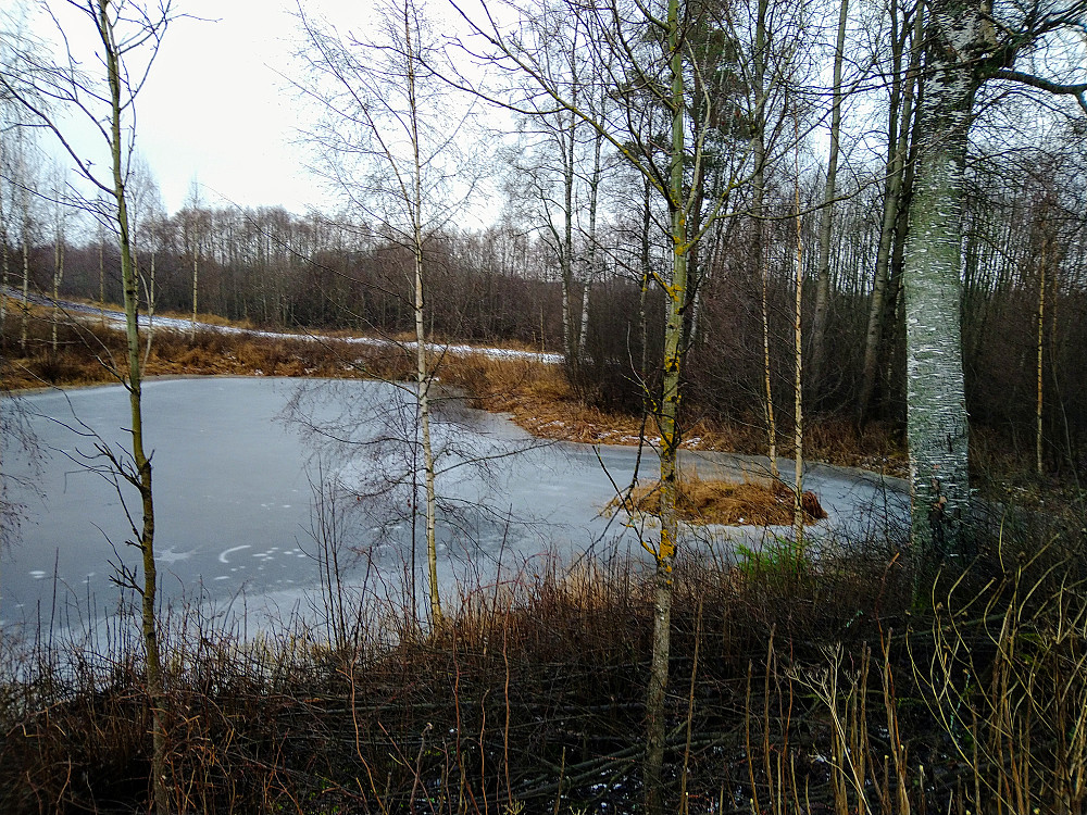 Vomma med skøytebane til barnebarna mine.