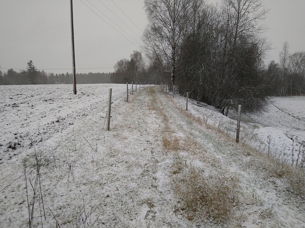 Neste gang er det skiføre?