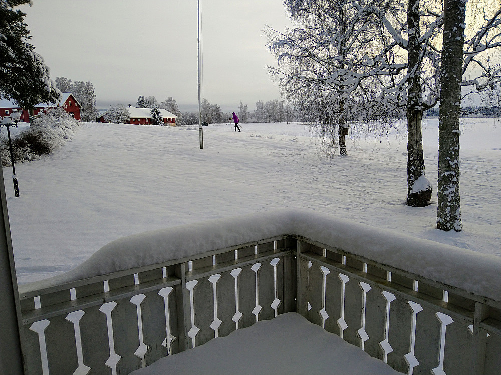 Torhild i fint driv.