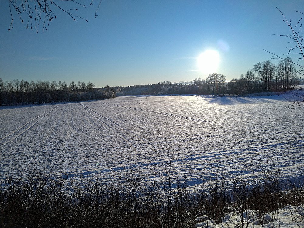 Det kan være fint i lavlandet også.