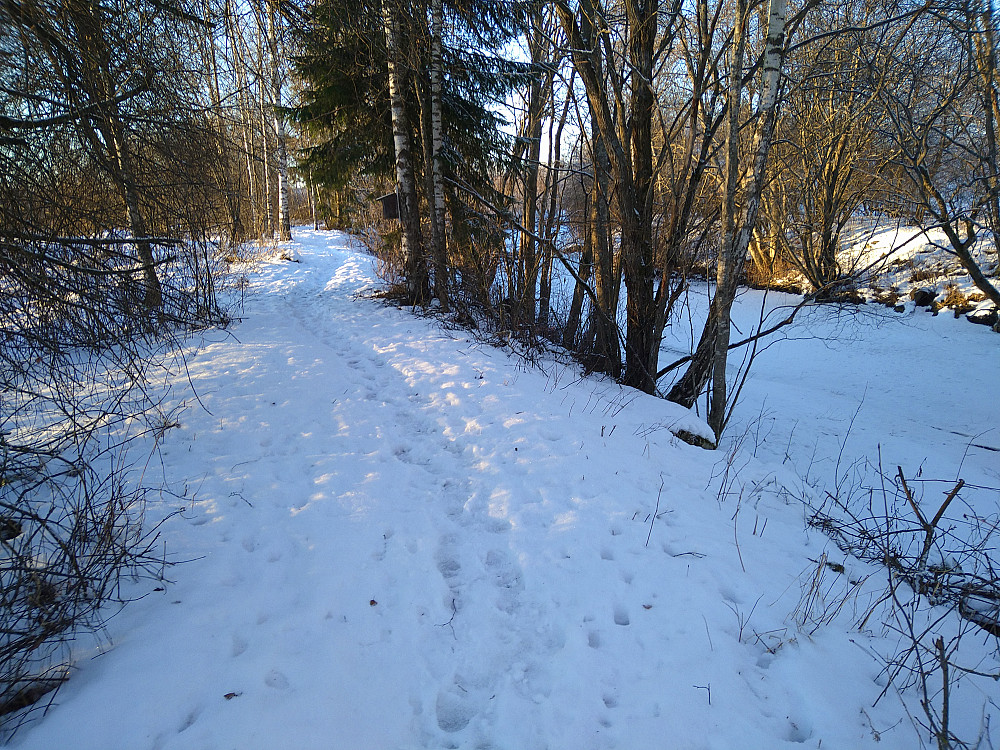Så fint at noen fortsatt går på elvekanten, slik at det blir spor til meg.