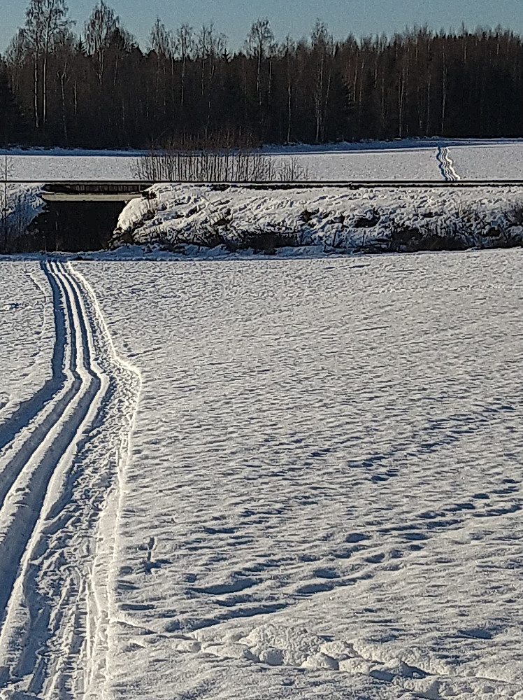 Løypa går under Rørosbanen, og videre ut i verden.