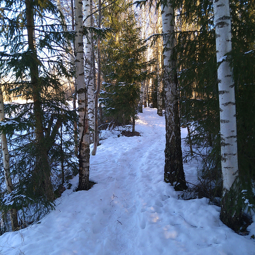 frame[[image:Døl_20210212_60269d3284859.jpg