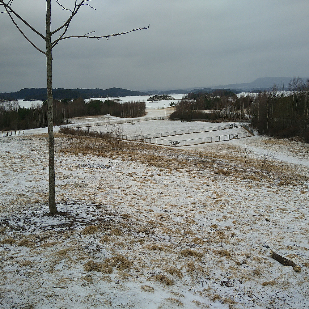 Vintern har kommet tilbake --- 2 mm. nysnø.