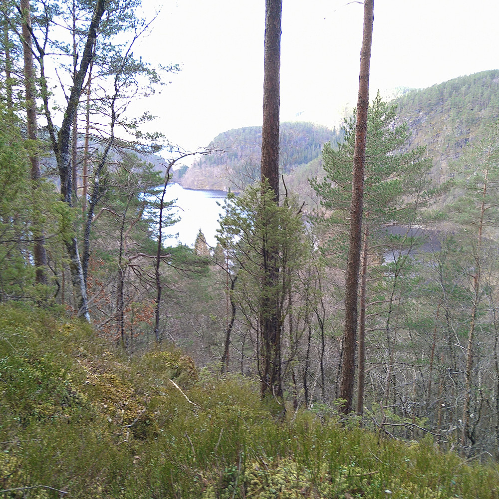 Slåttevatnet