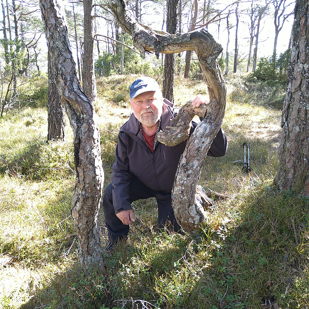 Han kom opp denne gangen også. 160 HM.