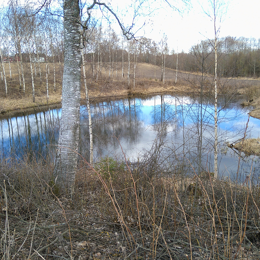 Kvinanda fløy da eg kom.