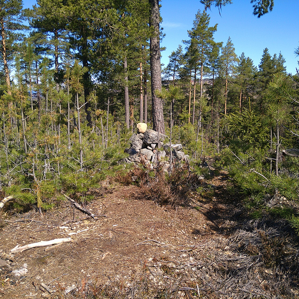 Kongsrudberget
