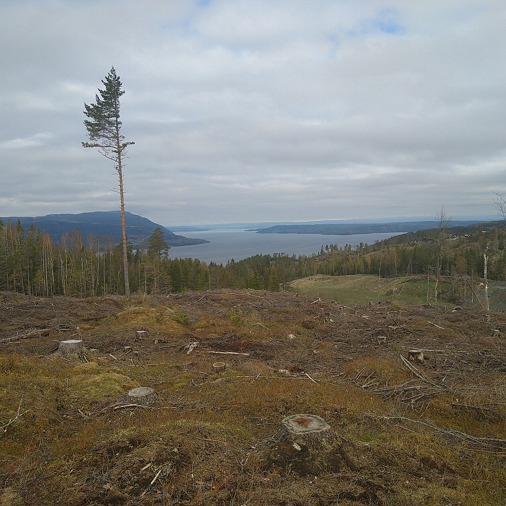 Fin utsikt utover Mjøsa