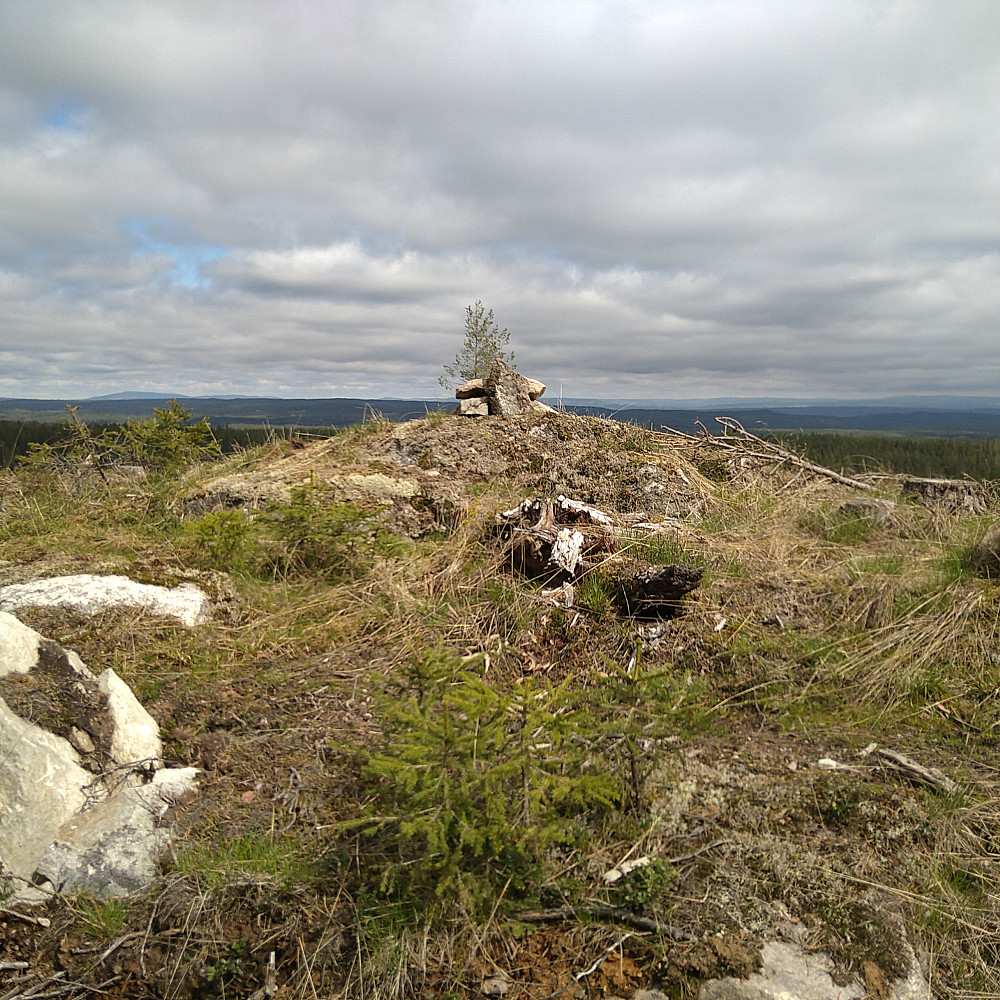 Tjurudalsberget med utsikt og mygg.