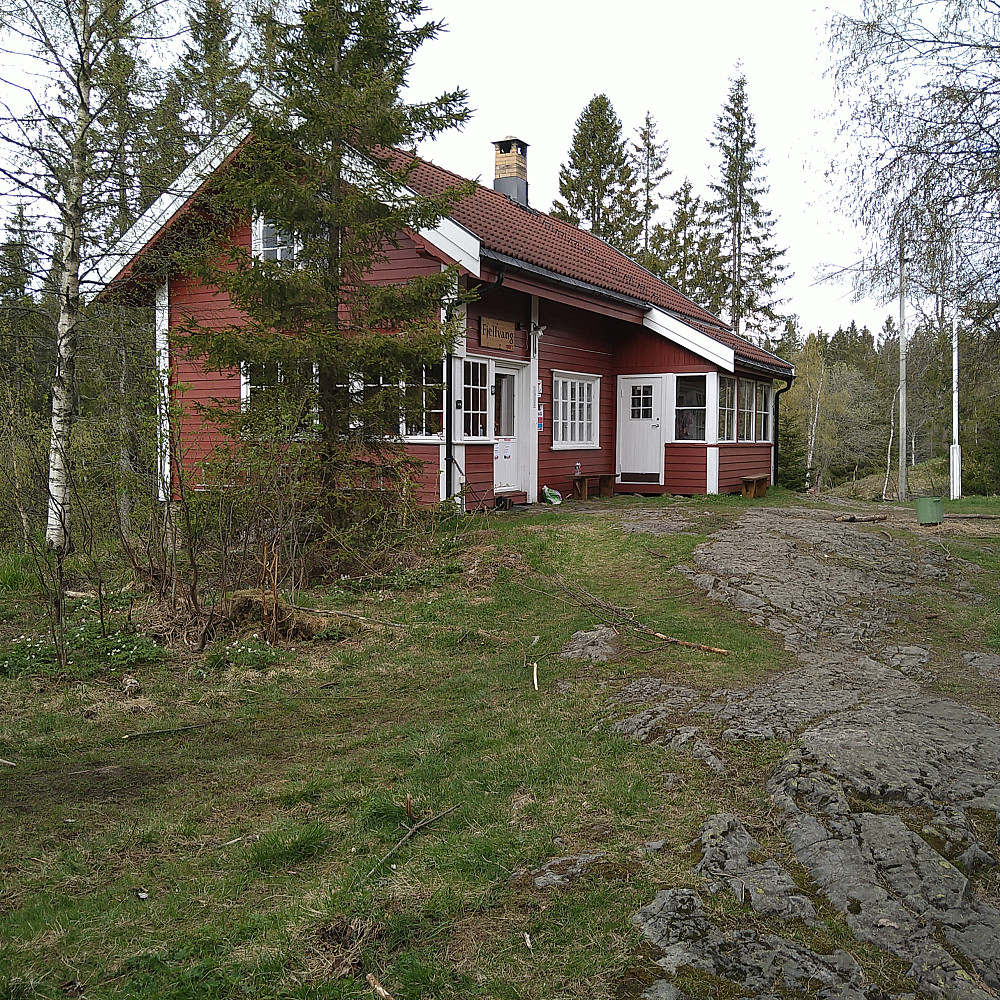 Fjellvang