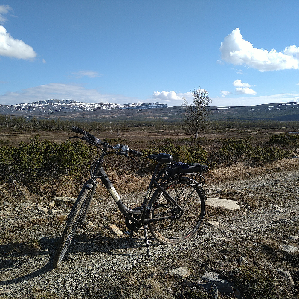 Haldorbu er i lia rett over min strømløse sykkel.