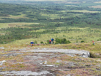 Ofisk_20200718_5f13156ed20d1.jpg