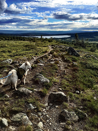 Emira med Sjusjøen i bakgrunn