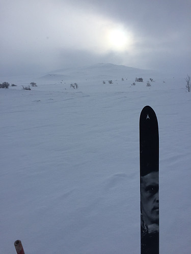 Fjellski i dag :-)
