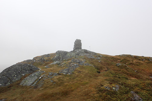 top of Fordsnipa