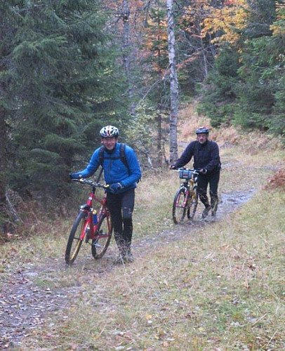 Trilling etter lunsj og eplekake.